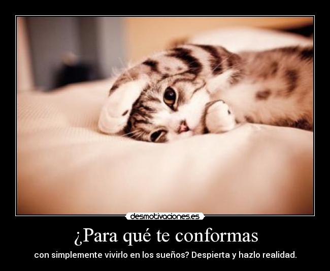 ¿Para qué te conformas -