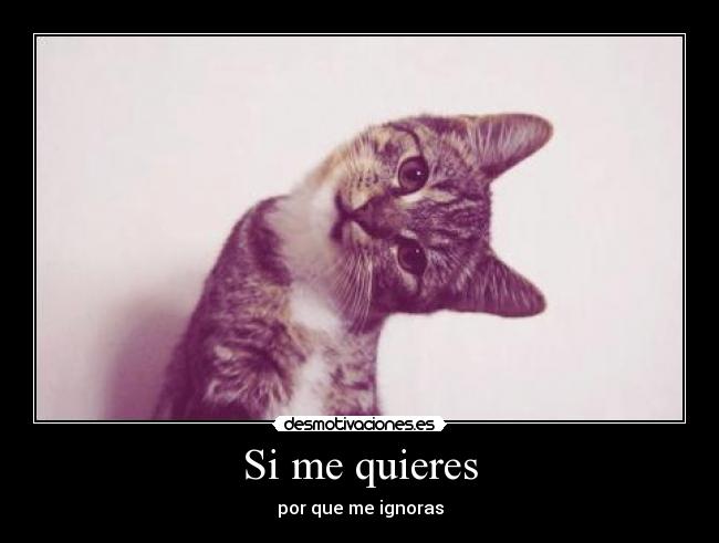 Si me quieres - por que me ignoras