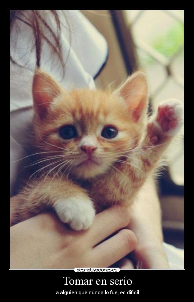 Tomar en serio - a alguien que nunca lo fue, es difícil