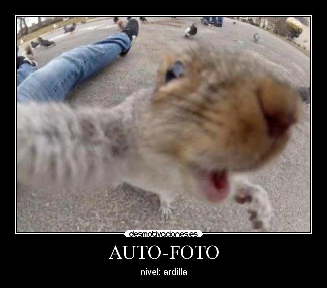 AUTO-FOTO - 