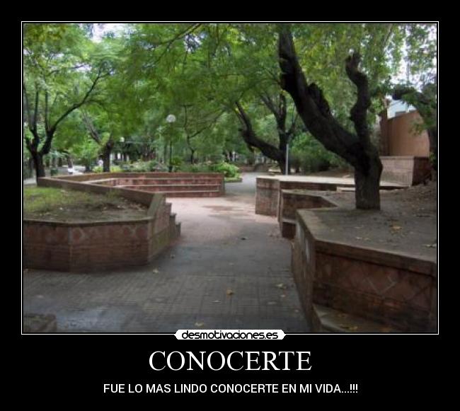 carteles conocerte fue mas lindo vida desmotivaciones