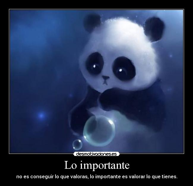 Lo importante -