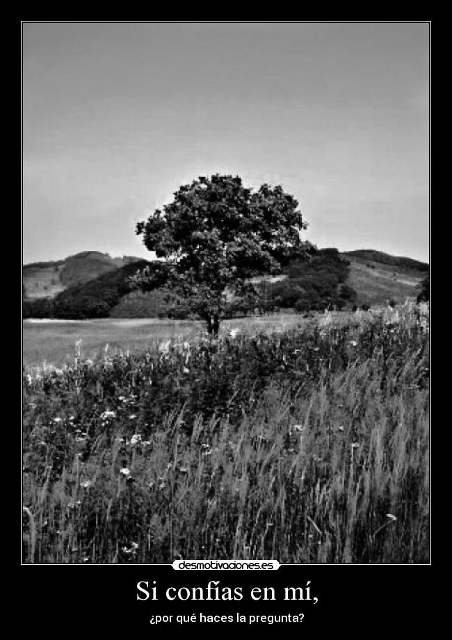 Si confías en mí, - ¿por qué haces la pregunta?