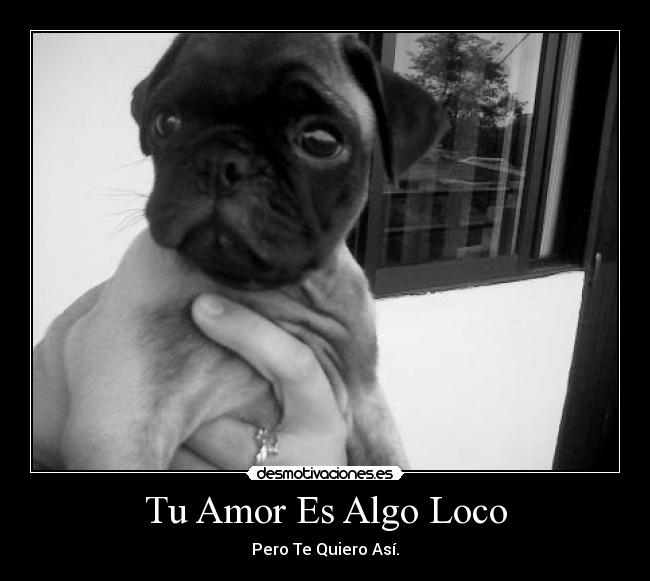 carteles amor rocco desmotivaciones