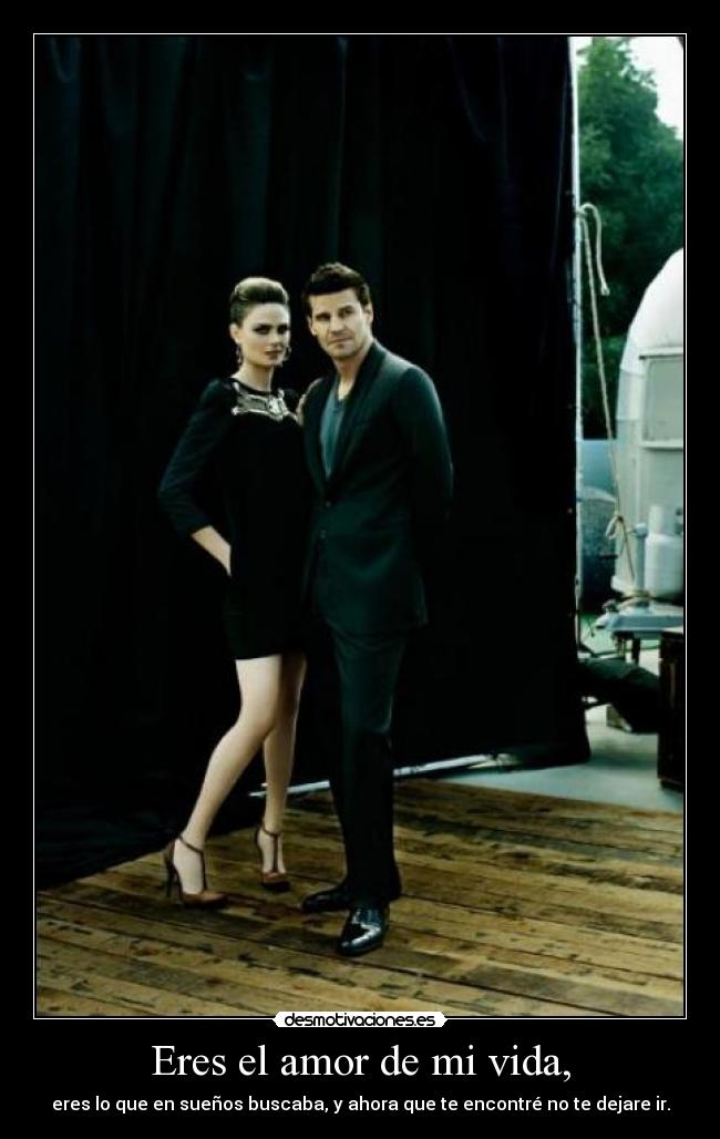 Eres el amor de mi vida, - eres lo que en sueños buscaba, y ahora que te encontré no te dejare ir.