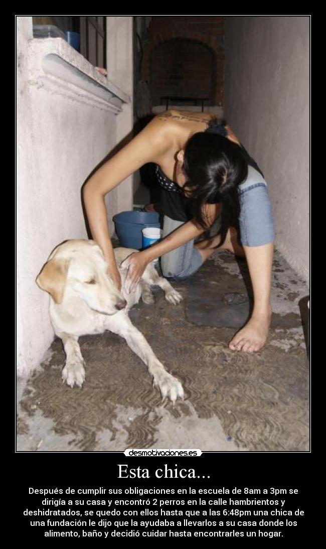 Esta chica... - Después de cumplir sus obligaciones en la escuela de 8am a 3pm se
dirigía a su casa y encontró 2 perros en la calle hambrientos y
deshidratados, se quedo con ellos hasta que a las 6:48pm una chica de
una fundación le dijo que la ayudaba a llevarlos a su casa donde los
alimento, baño y decidió cuidar hasta encontrarles un hogar.