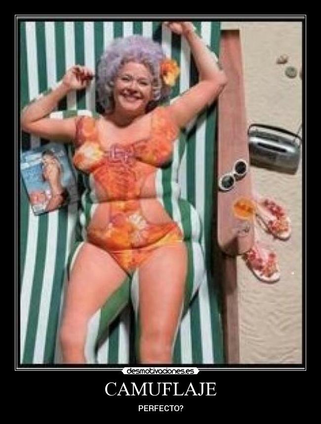 carteles camuflaje desmotivaciones