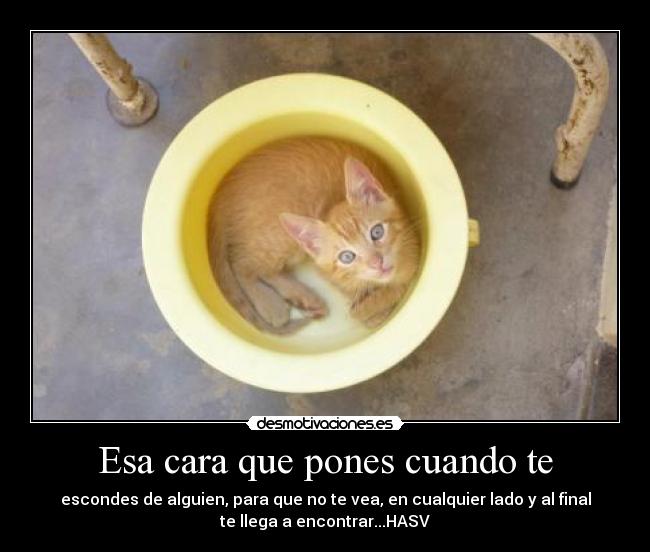 Esa cara que pones cuando te - escondes de alguien, para que no te vea, en cualquier lado y al final
te llega a encontrar...HASV