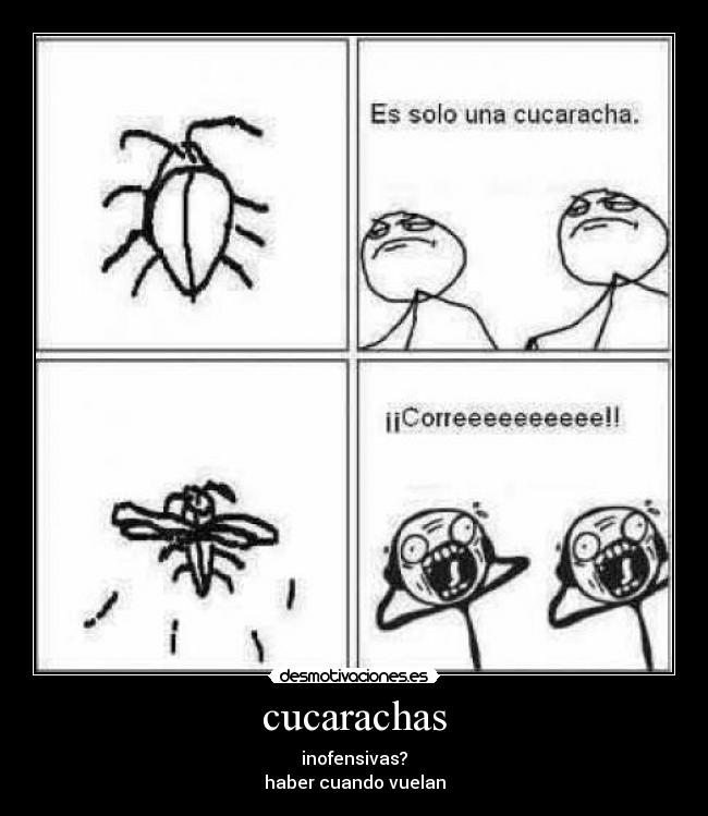 cucarachas -