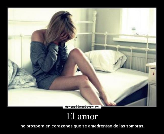 El amor - 