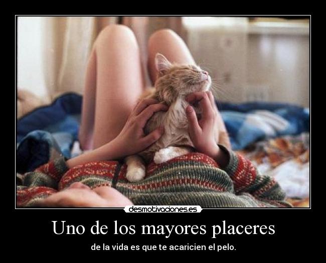 Uno de los mayores placeres -