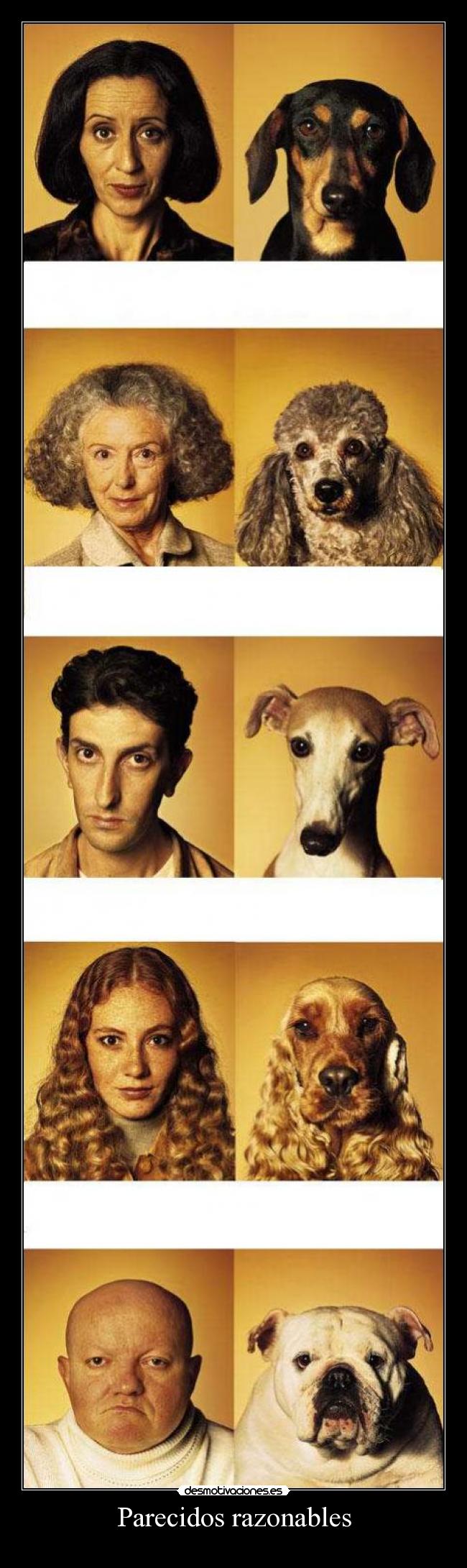 Parecidos razonables -