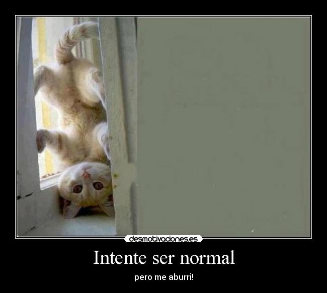 Intente ser normal -