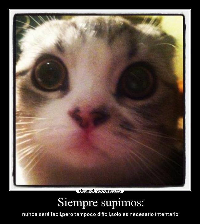 Siempre supimos: - nunca será facil,pero tampoco dificil,solo es necesario intentarlo