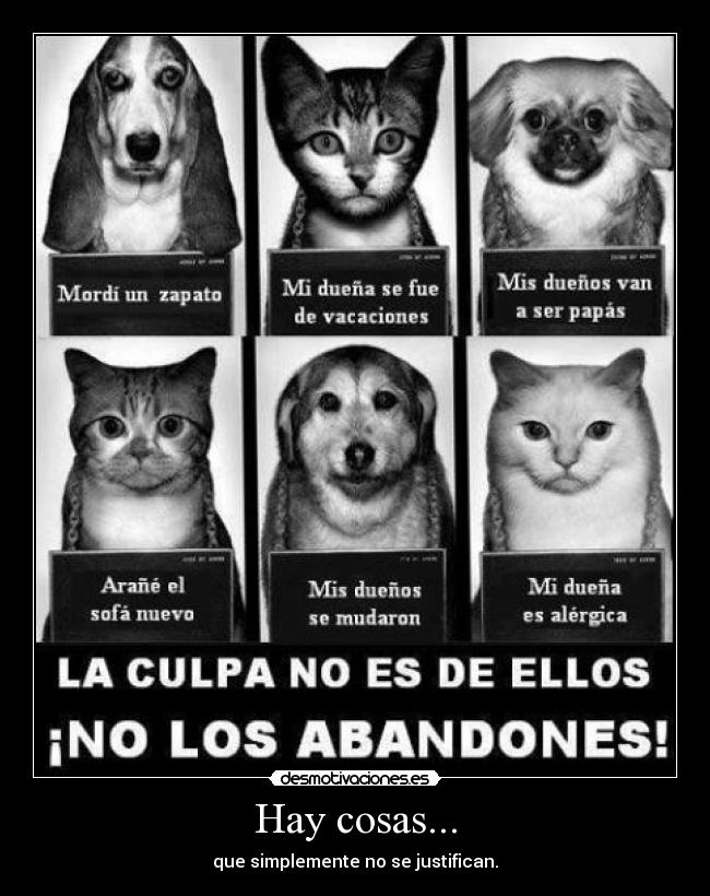 carteles hay cosas desmotivaciones