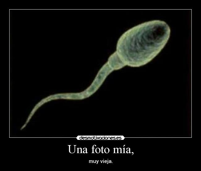 Una foto mía, - muy vieja.