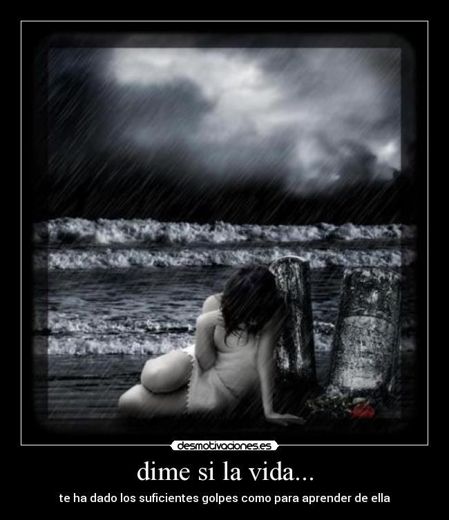 dime si la vida... -