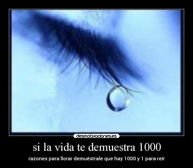 carteles vida andii ramitox desmotivaciones