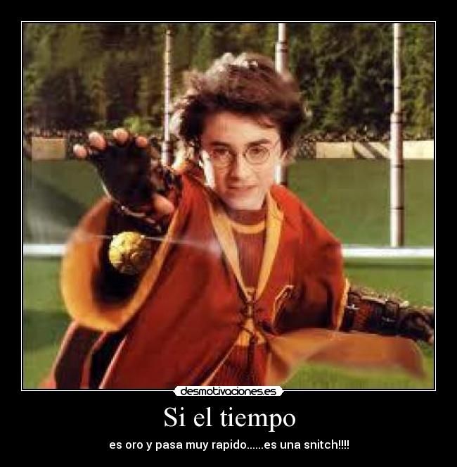 Si el tiempo - es oro y pasa muy rapido......es una snitch!!!!