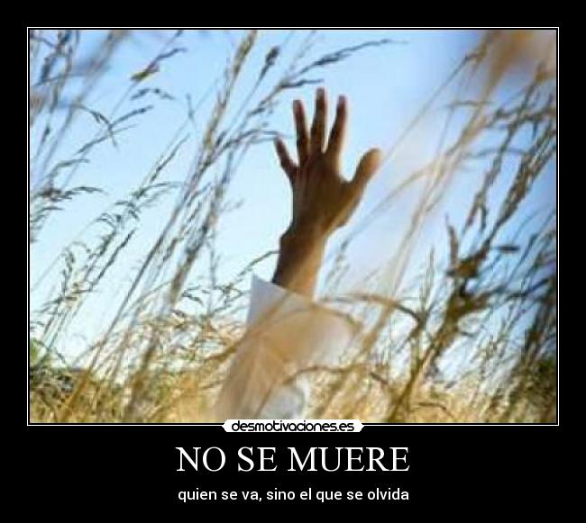 NO SE MUERE -
