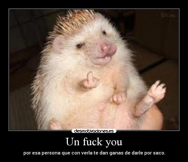 Un fuck you - por esa persona que con verla te dan ganas de darle por saco.