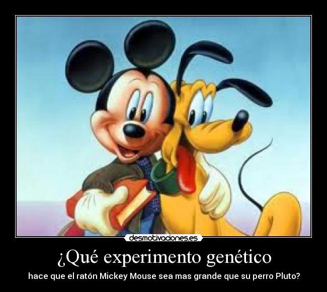 carteles desmotivaciones