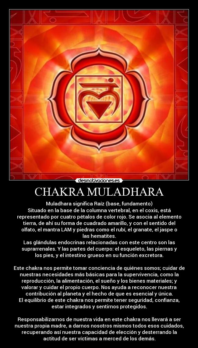 CHAKRA MULADHARA -