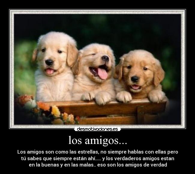 carteles amigos nini desmotivaciones