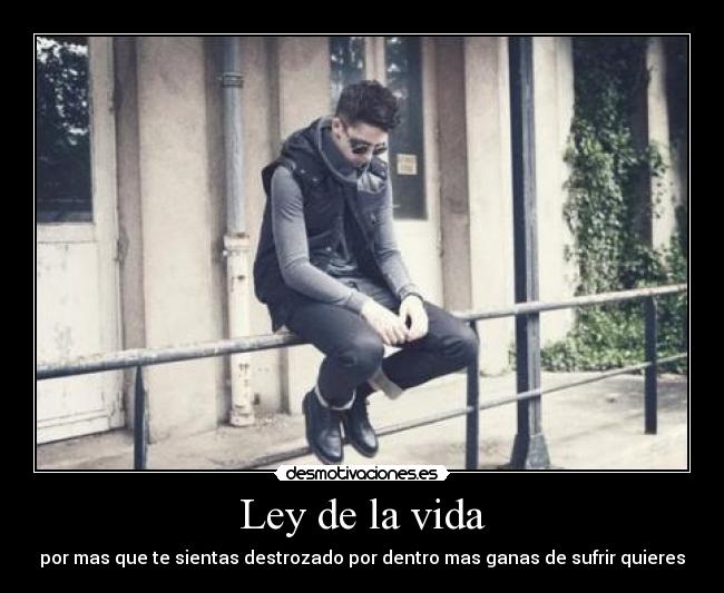 Ley de la vida -