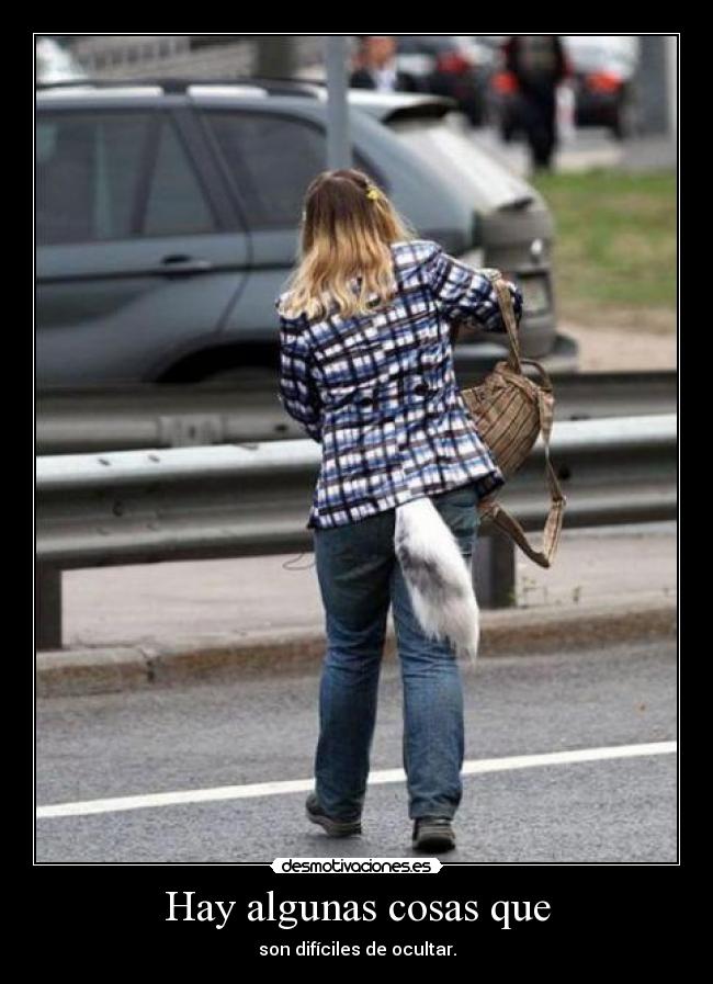 carteles lamask8 irca hostia cidonnch anapuntobgutierrez98 esta una zorra extrana desmotivaciones