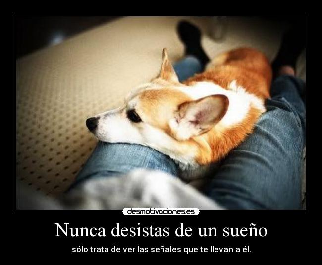 Nunca desistas de un sueño -