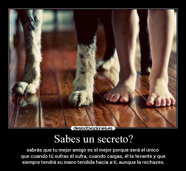 Sabes un secreto? - sabrás que tu mejor amigo es el mejor porque será el único 
que cuando tú sufras él sufra, cuando caigas, él te levante y que
siempre tendrá su mano tendida hacia a ti, aunque la rechazes.