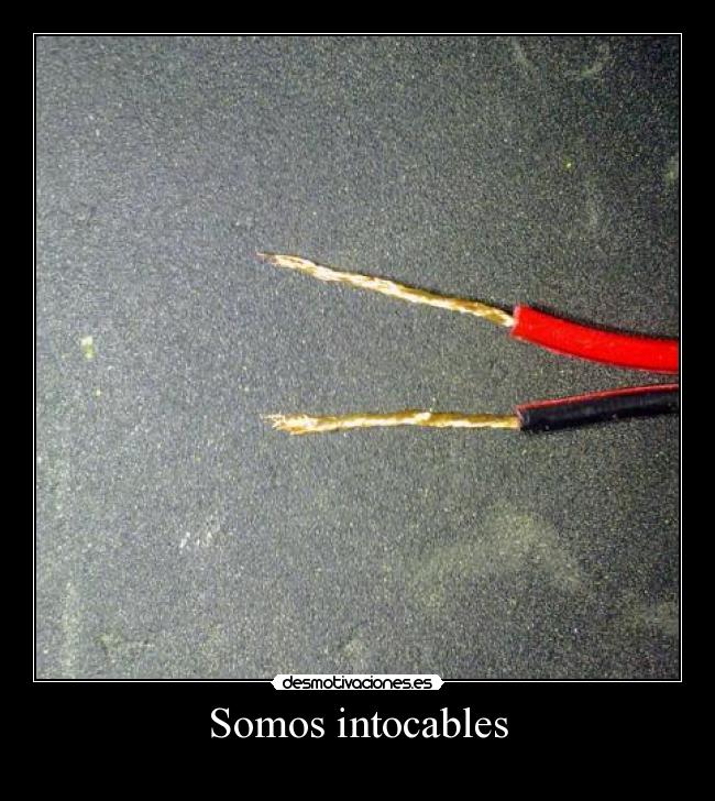 Somos intocables - 