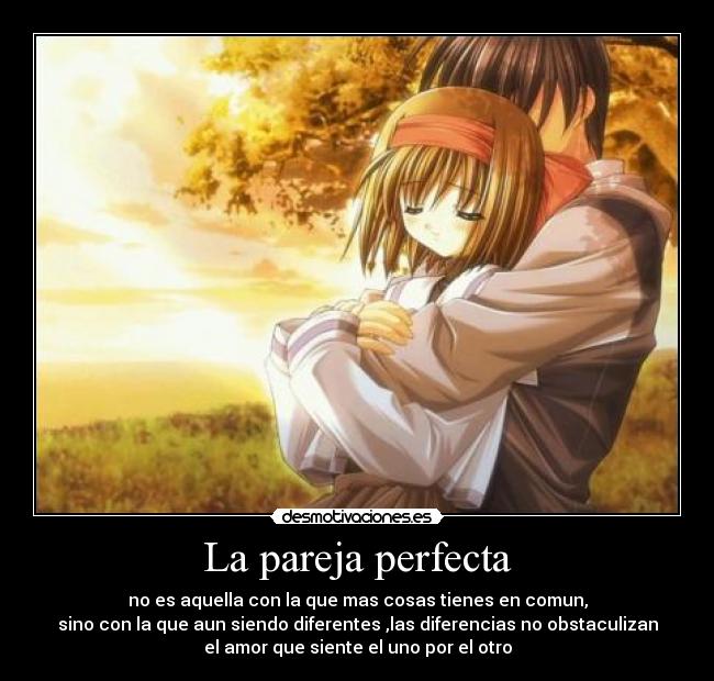 La pareja perfecta -