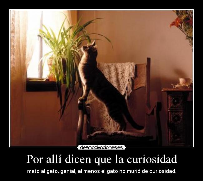 Por allí dicen que la curiosidad -