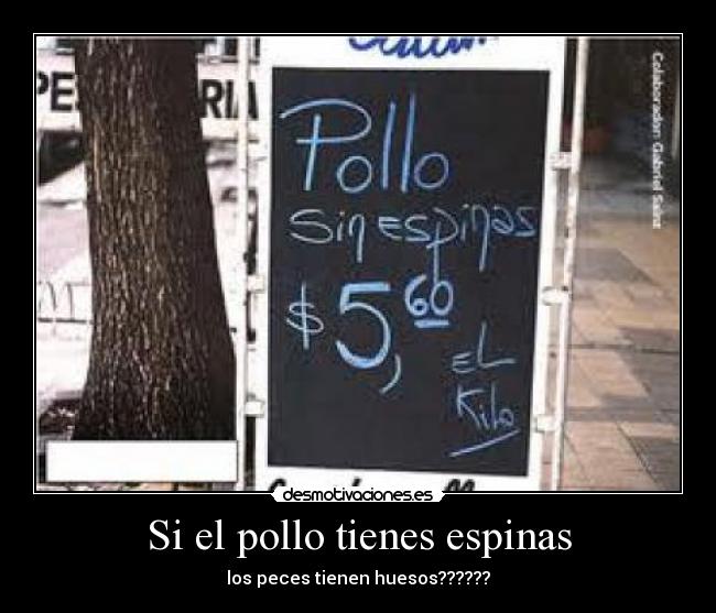 Si el pollo tienes espinas - los peces tienen huesos??????