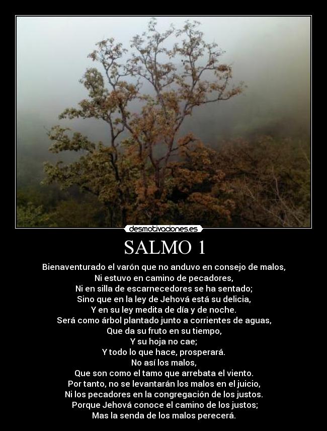SALMO 1 - Bienaventurado el varón que no anduvo en consejo de malos,
Ni estuvo en camino de pecadores,
Ni en silla de escarnecedores se ha sentado;
Sino que en la ley de Jehová está su delicia,
Y en su ley medita de día y de noche.
Será como árbol plantado junto a corrientes de aguas,
Que da su fruto en su tiempo,
Y su hoja no cae;
Y todo lo que hace, prosperará.
No así los malos,
Que son como el tamo que arrebata el viento.
Por tanto, no se levantarán los malos en el juicio,
Ni los pecadores en la congregación de los justos.
Porque Jehová conoce el camino de los justos;
Mas la senda de los malos perecerá.