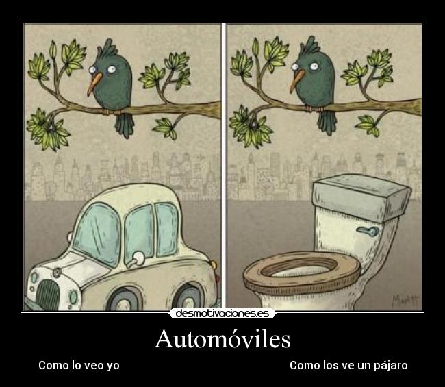 Automóviles - Como lo veo yo Como los ve un pájaro