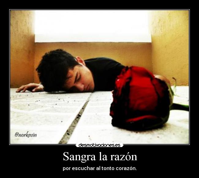 Sangra la razón - 