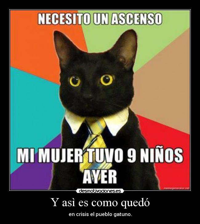 Y asì es como quedó - en crisis el pueblo gatuno.