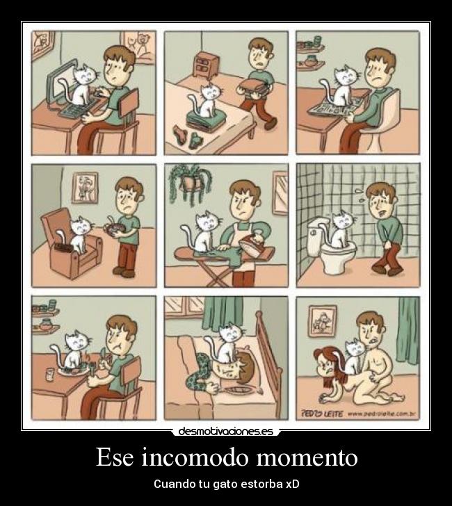 Ese incomodo momento - Cuando tu gato estorba xD