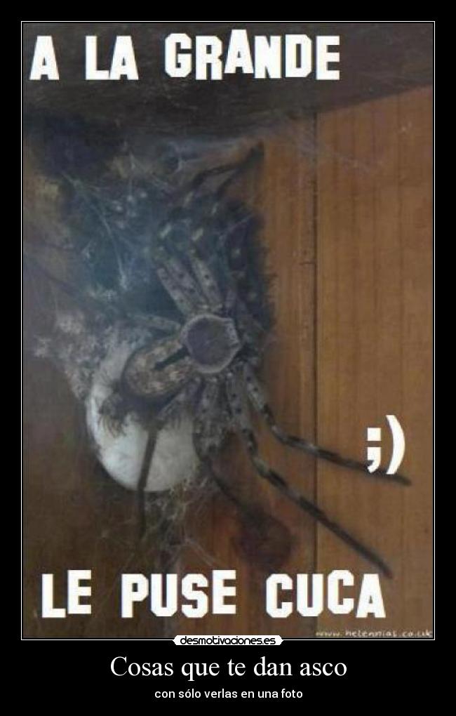 Cosas que te dan asco - 