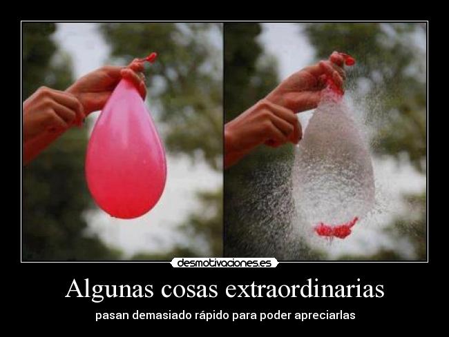 Algunas cosas extraordinarias - pasan demasiado rápido para poder apreciarlas