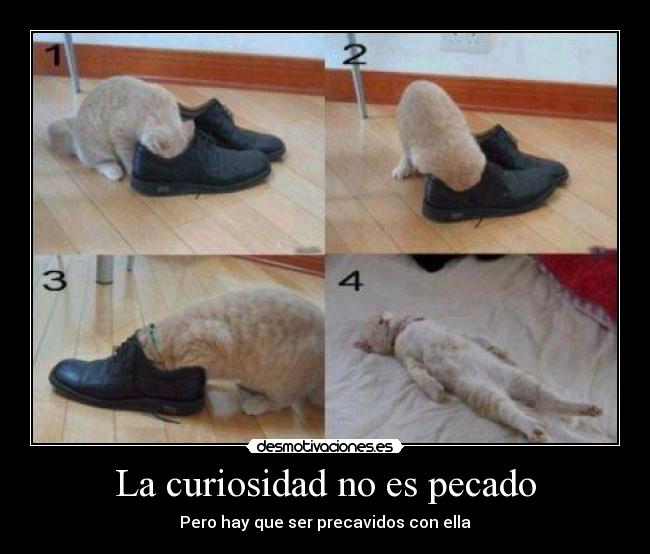 La curiosidad no es pecado -