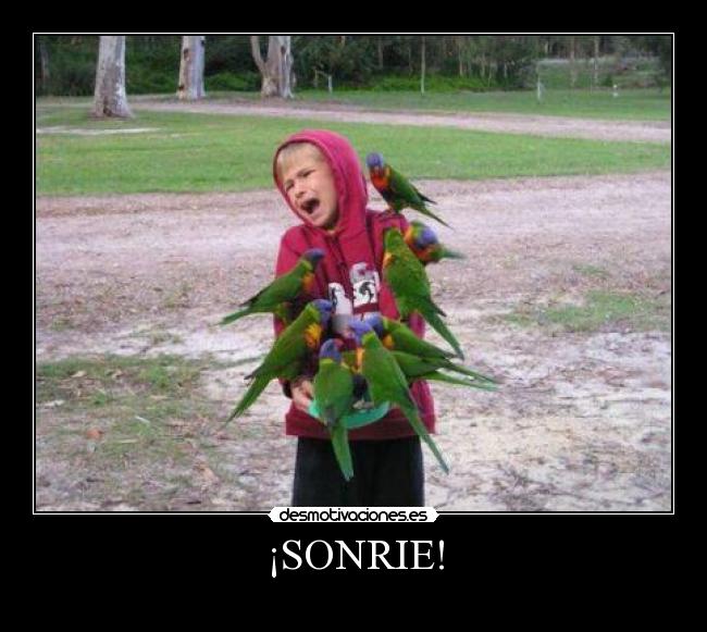 ¡SONRIE! -
