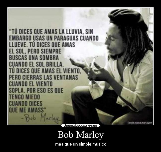 carteles jajajawtf bobmarley desmotivaciones