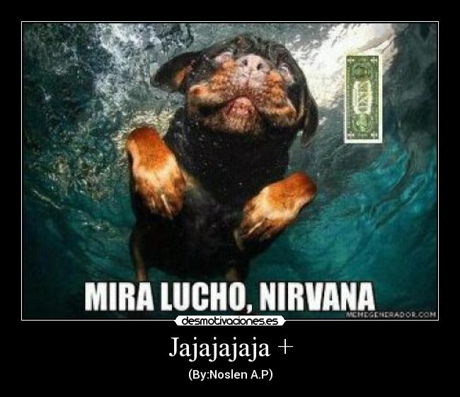 carteles isajhasminmayitamujeres lindas desmotivaciones