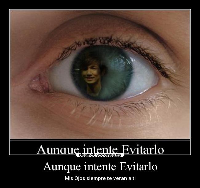 carteles kim key desmotivaciones