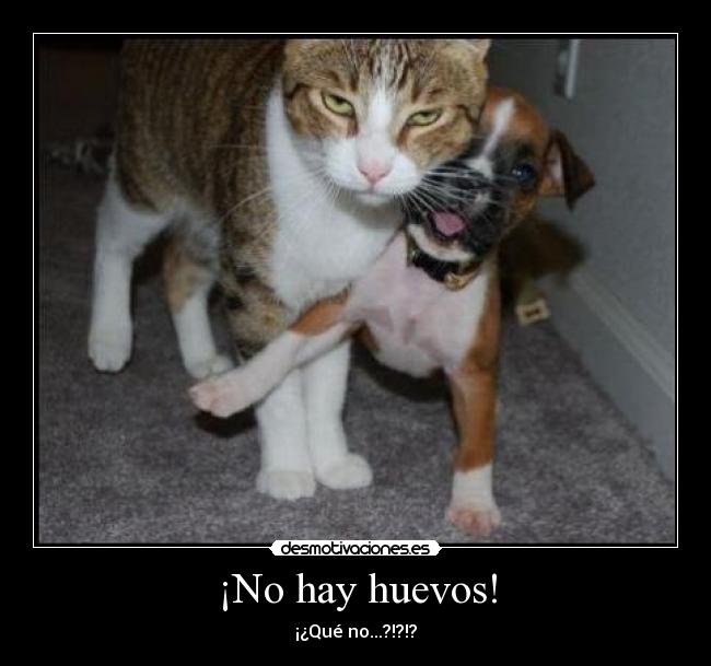 ¡No hay huevos! -
