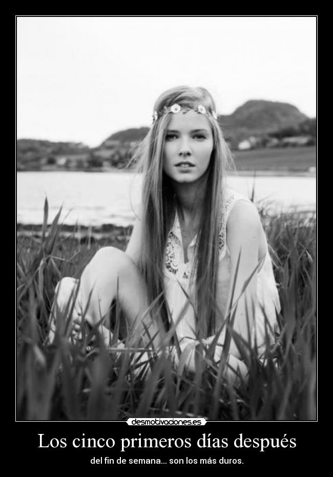 carteles fdsgnvdfjvjxjcndvvvvvv desmotivaciones